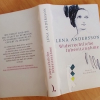Lena Andersson: Widerrechtliche Inbesitznahme Luchterhand Verlag