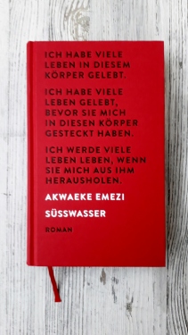 Akwaeke Emezi: Süsswasser https://literaturleuchtet.wordpress.com/2018/11/18/akwaeke-emezi-suesswasser-eichborn-verlag/