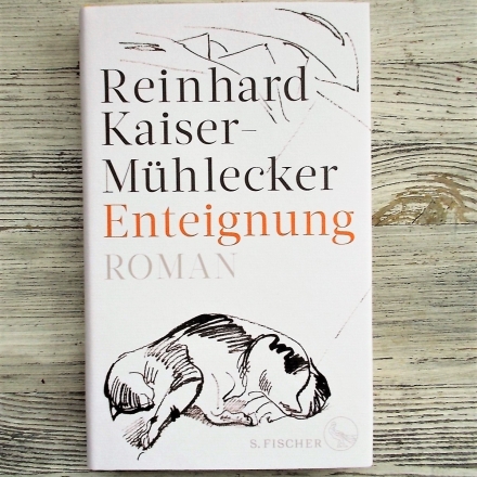 Reinhard Kaiser-Mühlecker: Enteignung